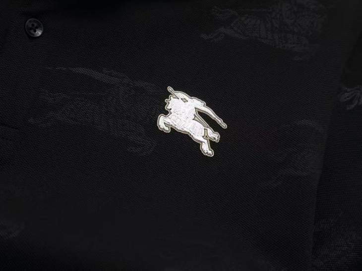 Picture of Burberry Polo Shirts Short _SKUBurberryL-4XL8qx50229443